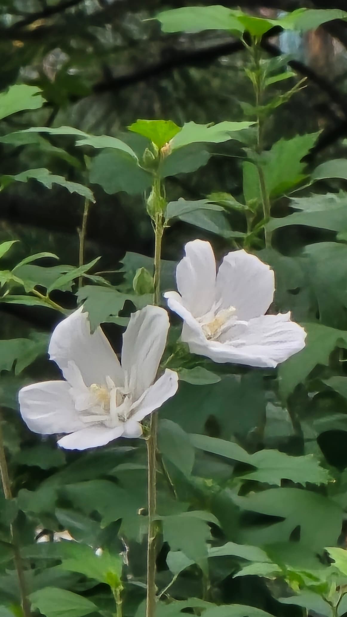 강길원 시인 사진 103