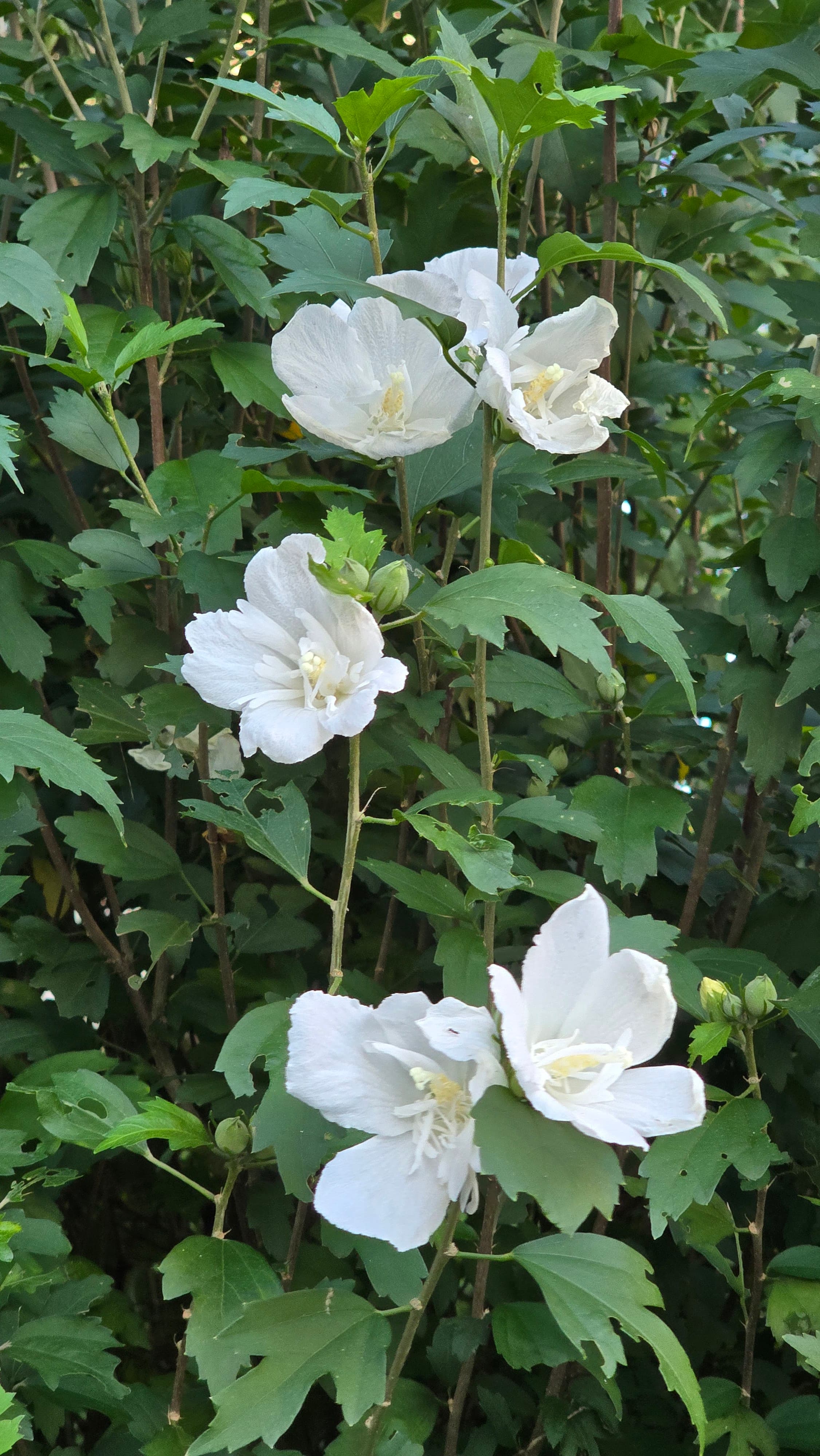 강길원 시인 사진 107