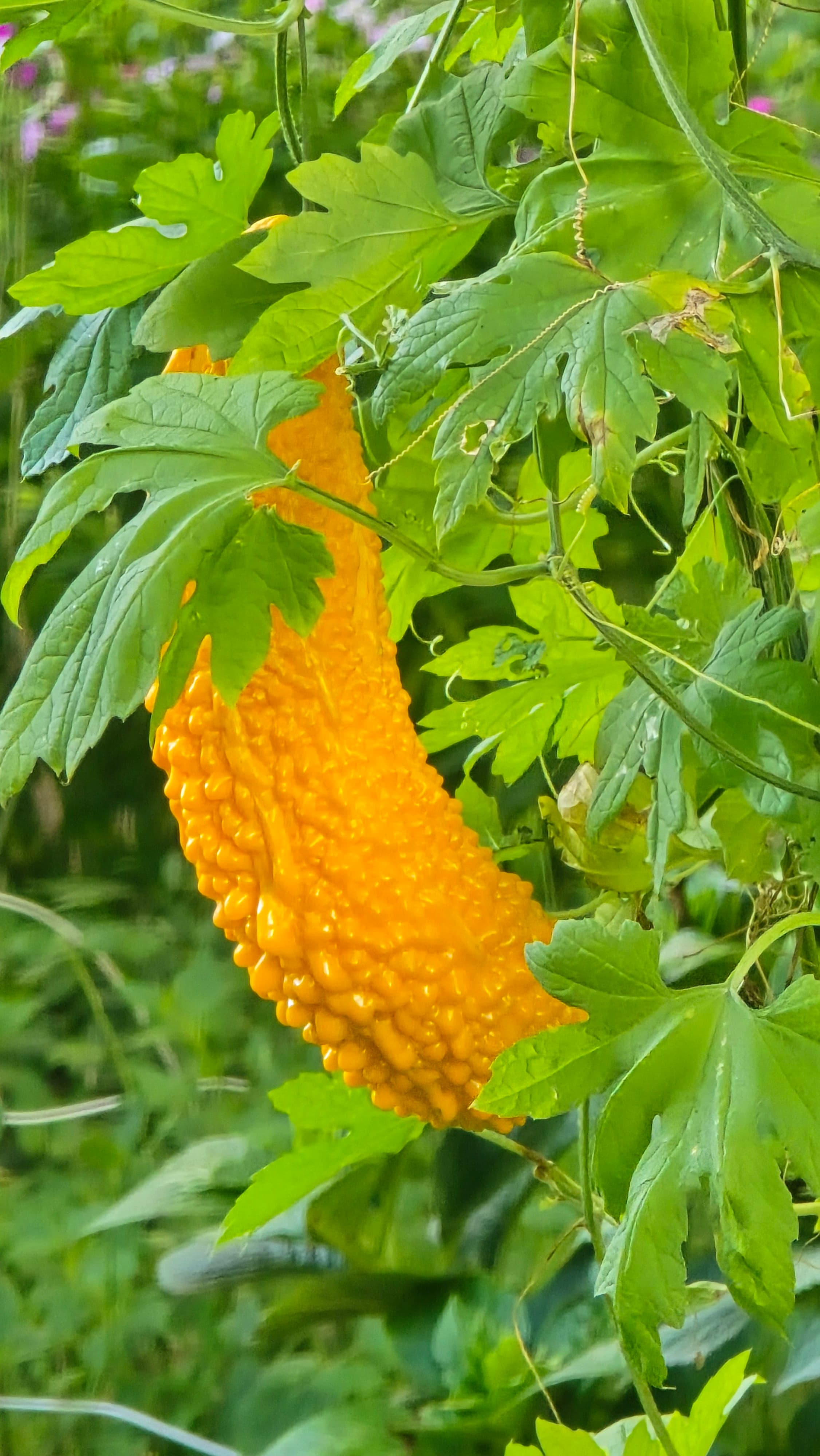 강길원 시인 사진 109