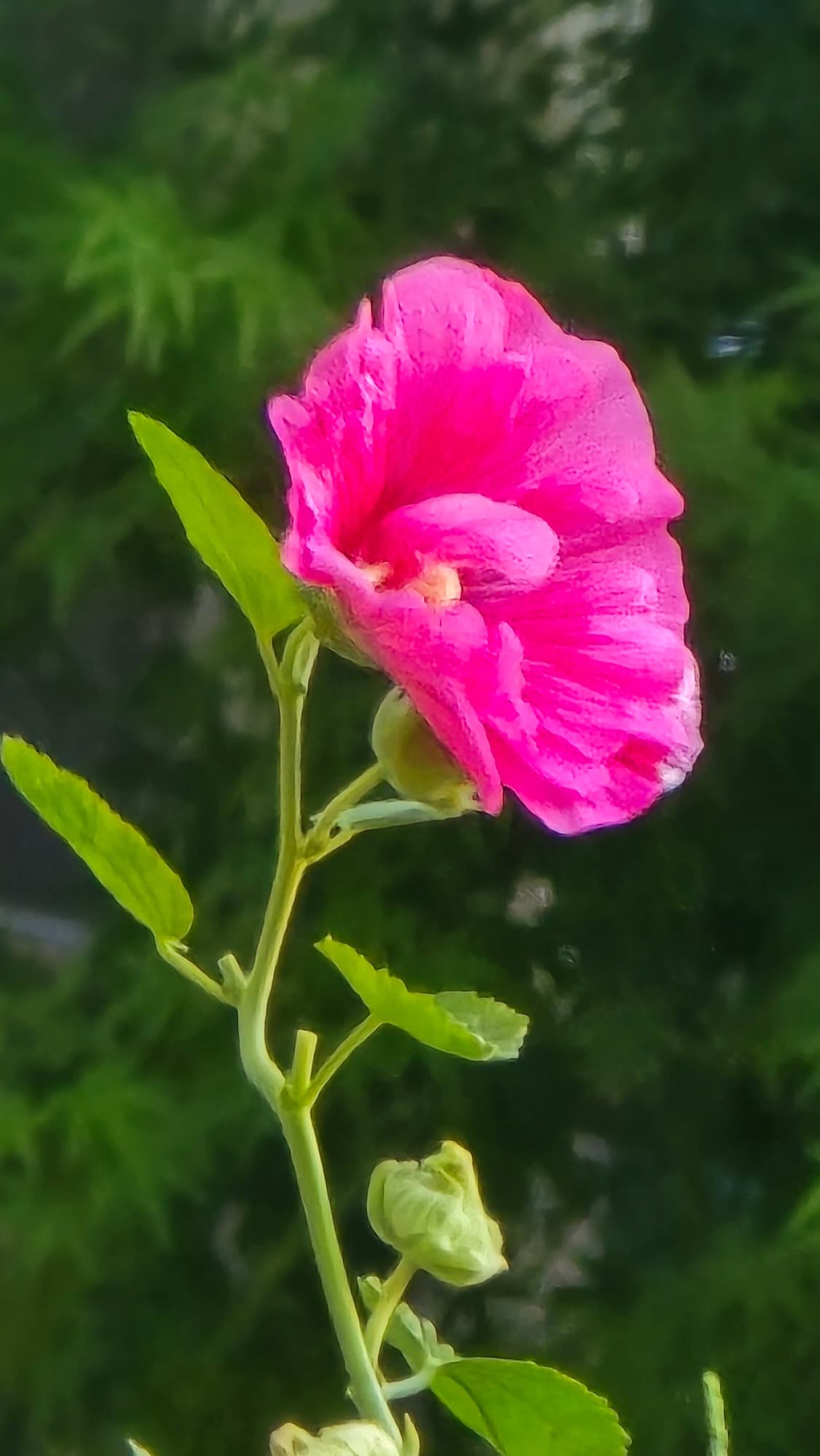 강길원 시인 사진 11