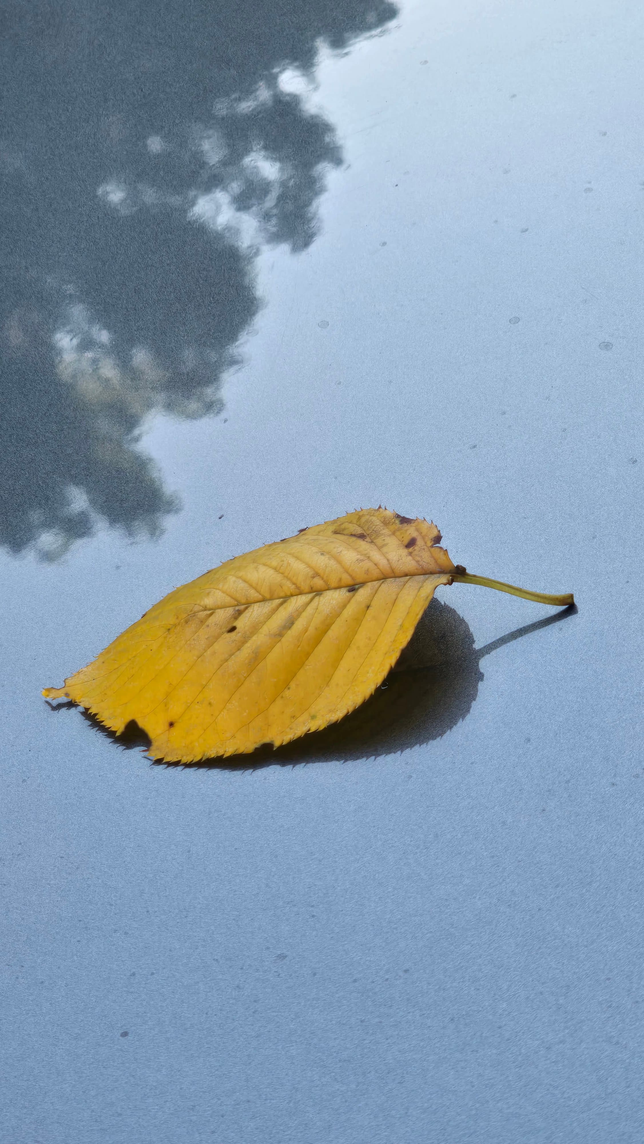 강길원 시인 사진 112