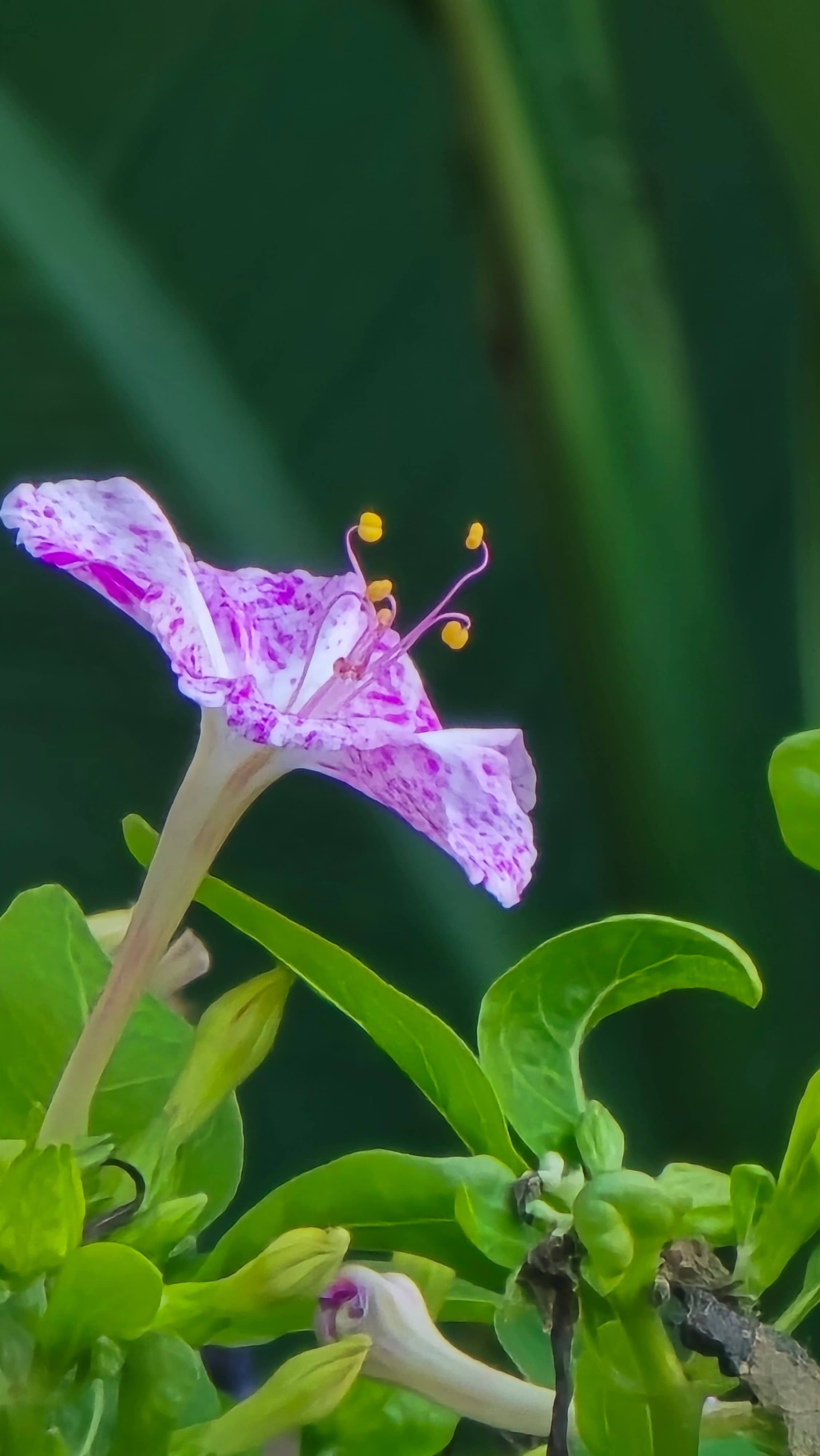 강길원 시인 사진 113