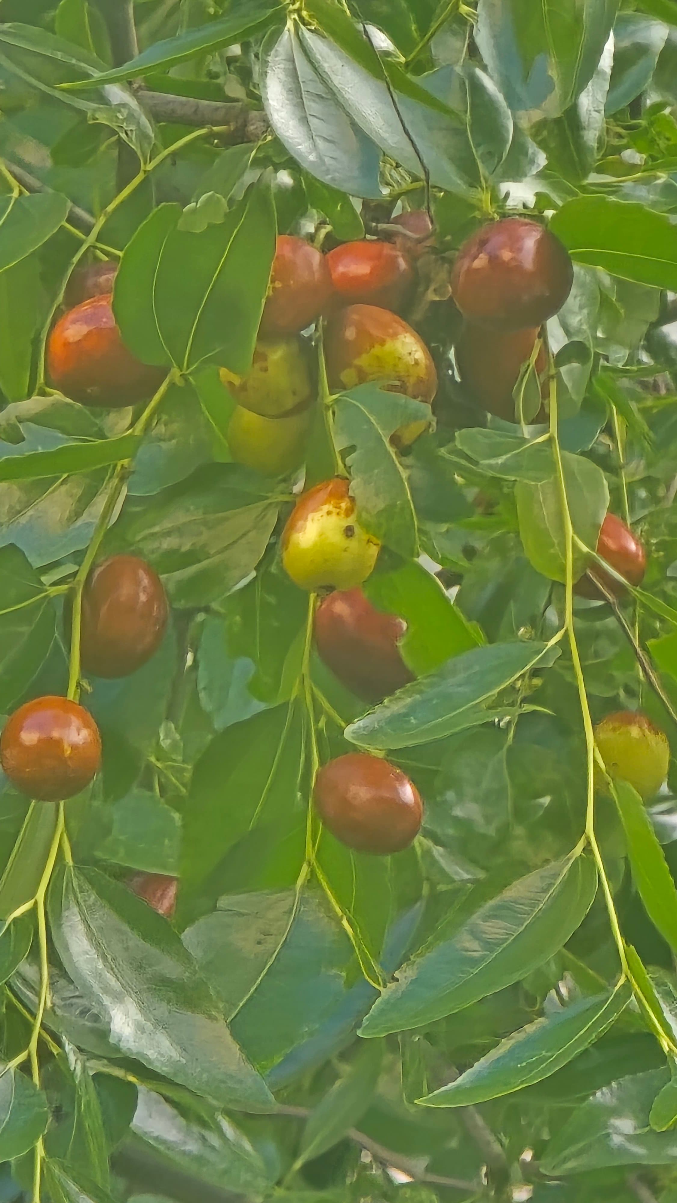 강길원 시인 사진 124