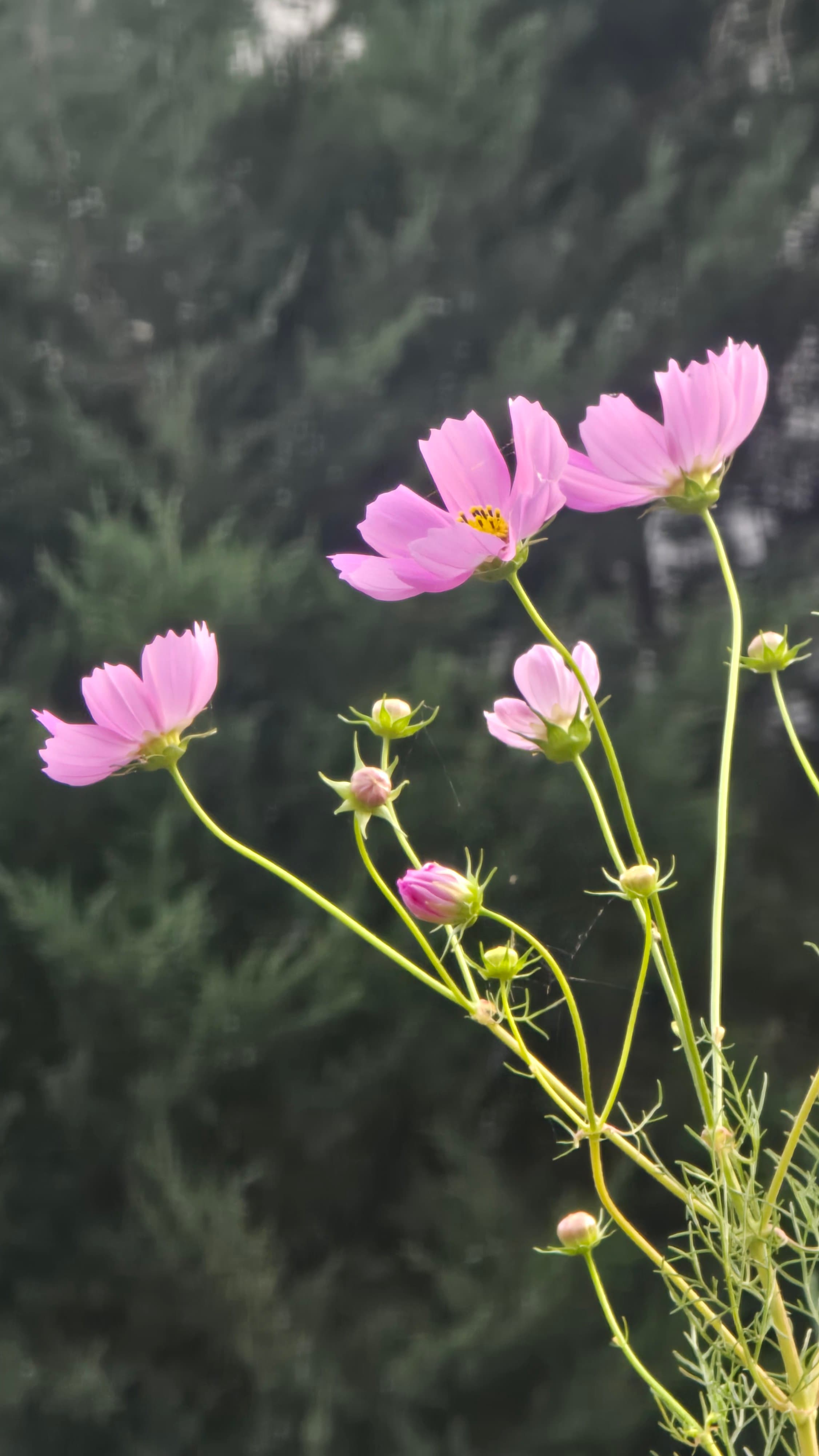 강길원 시인 사진 139