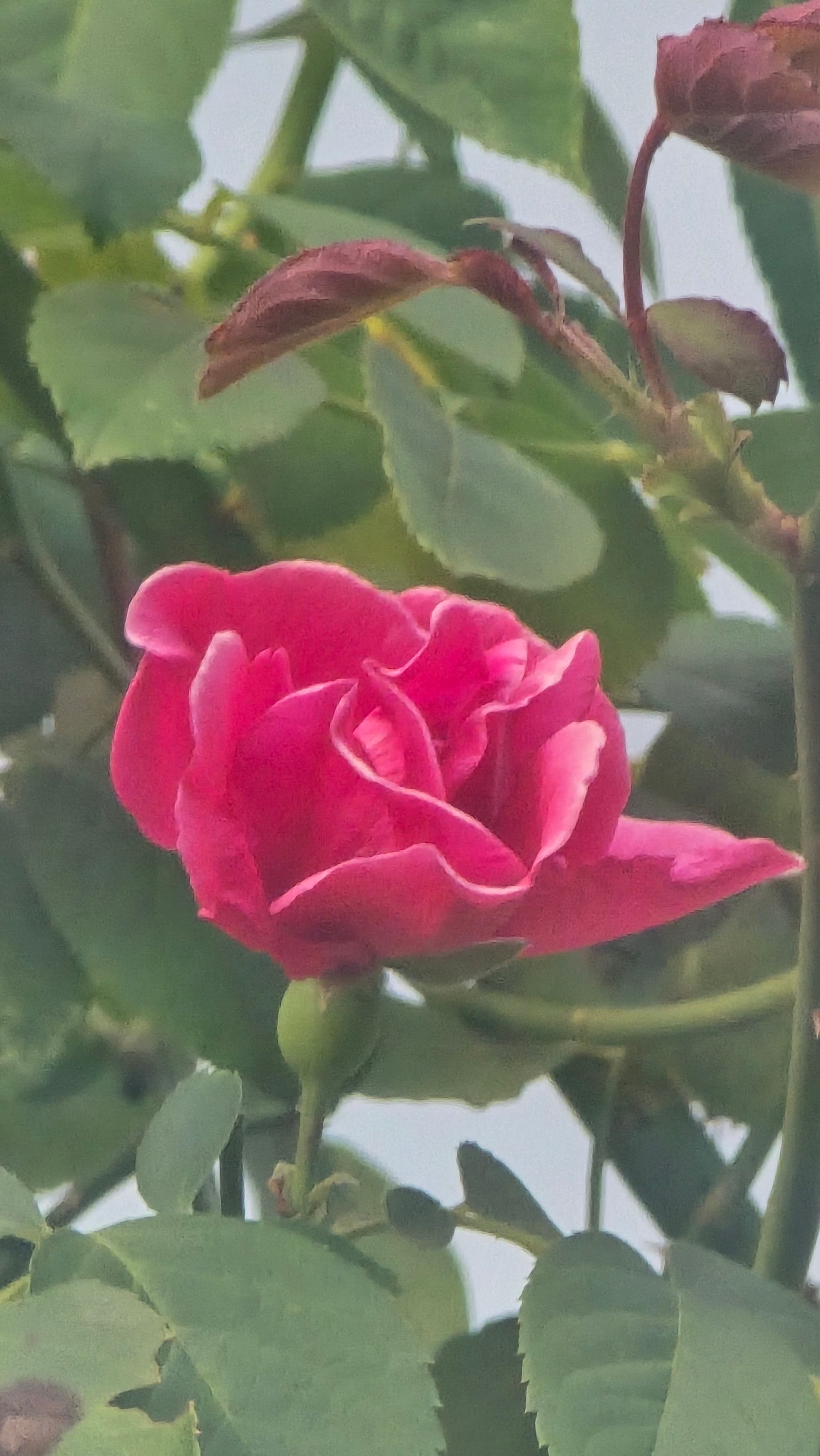 강길원 시인 사진 140