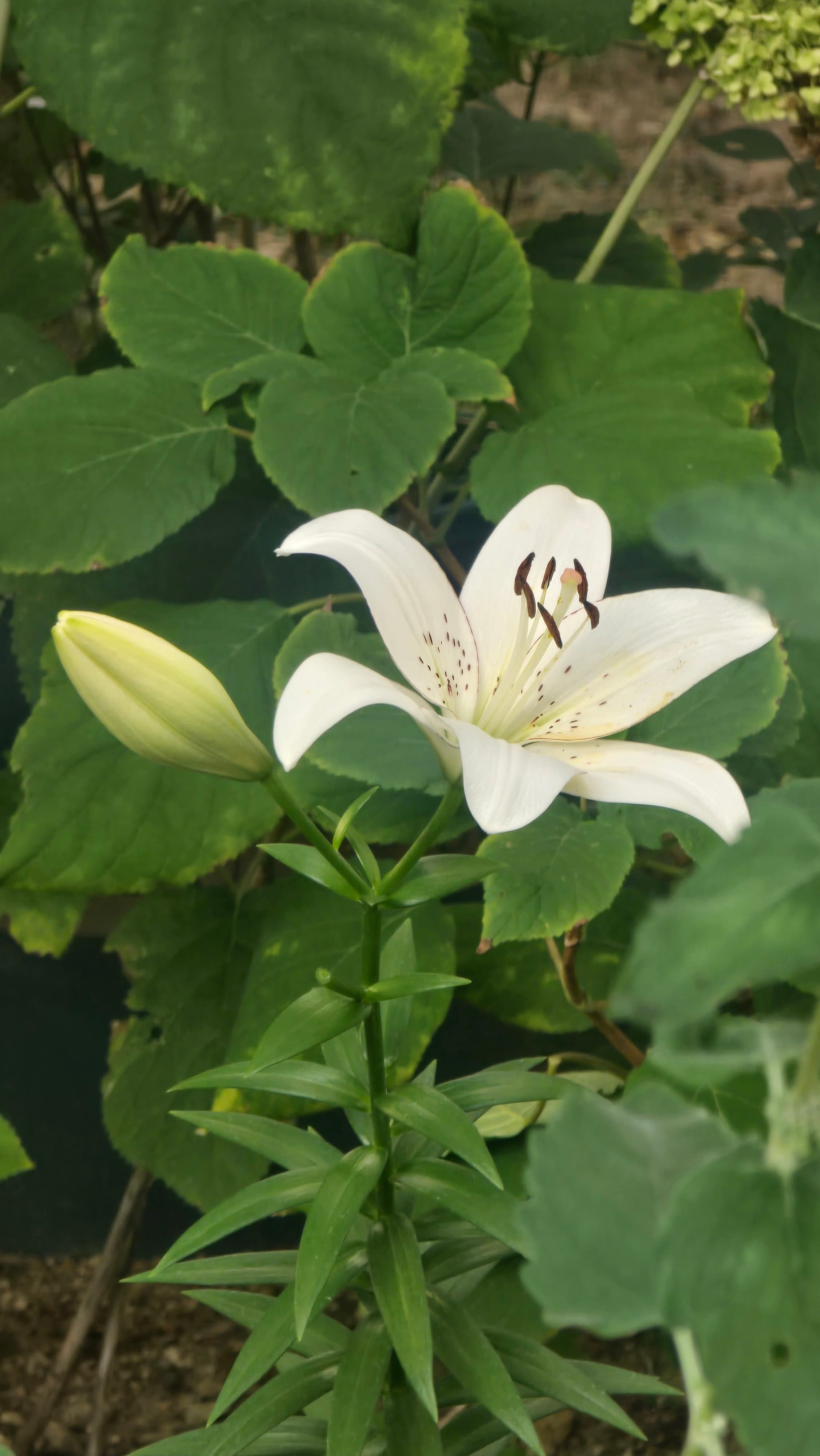 강길원 시인 사진 163