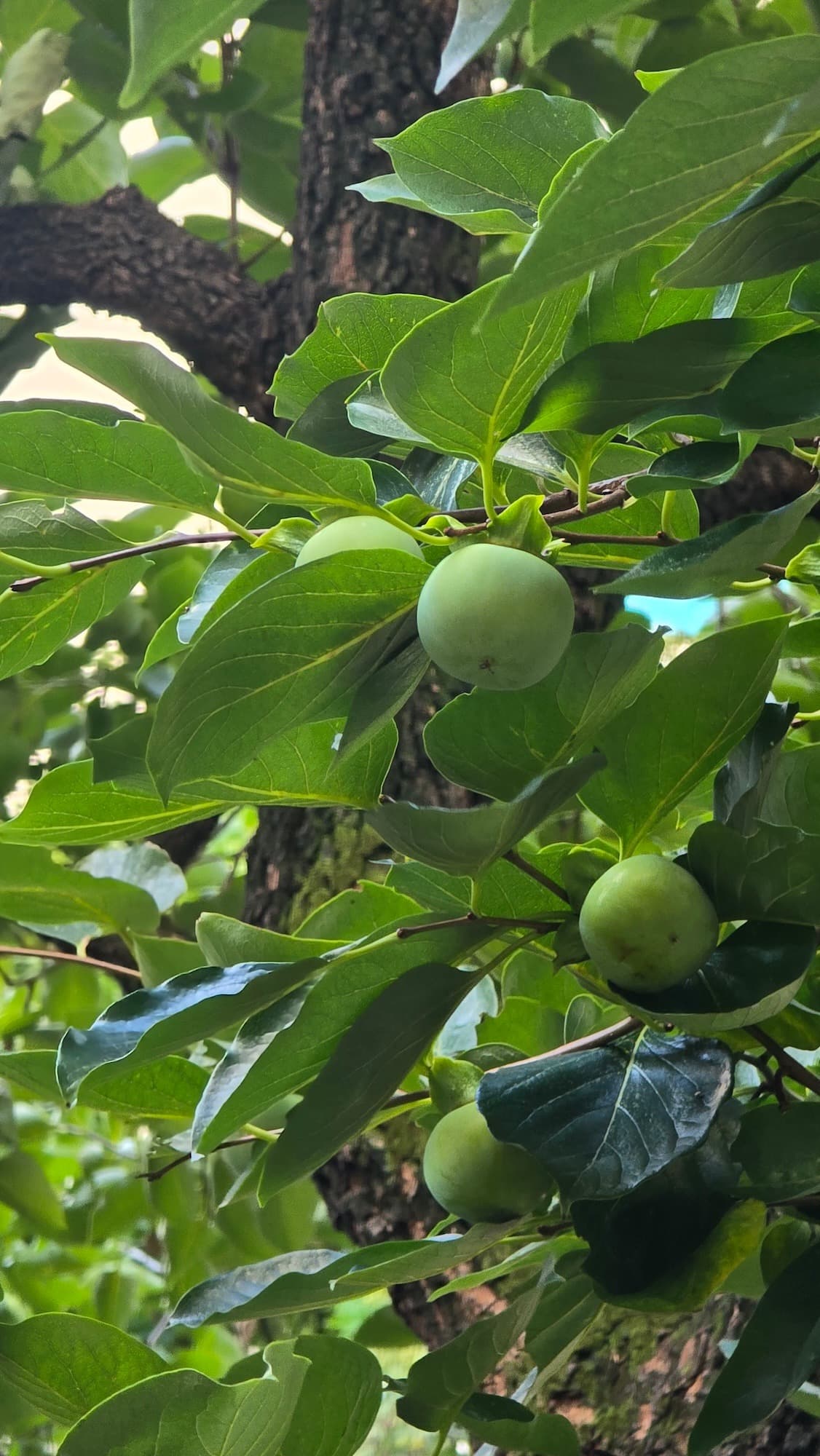 강길원 시인 사진 17
