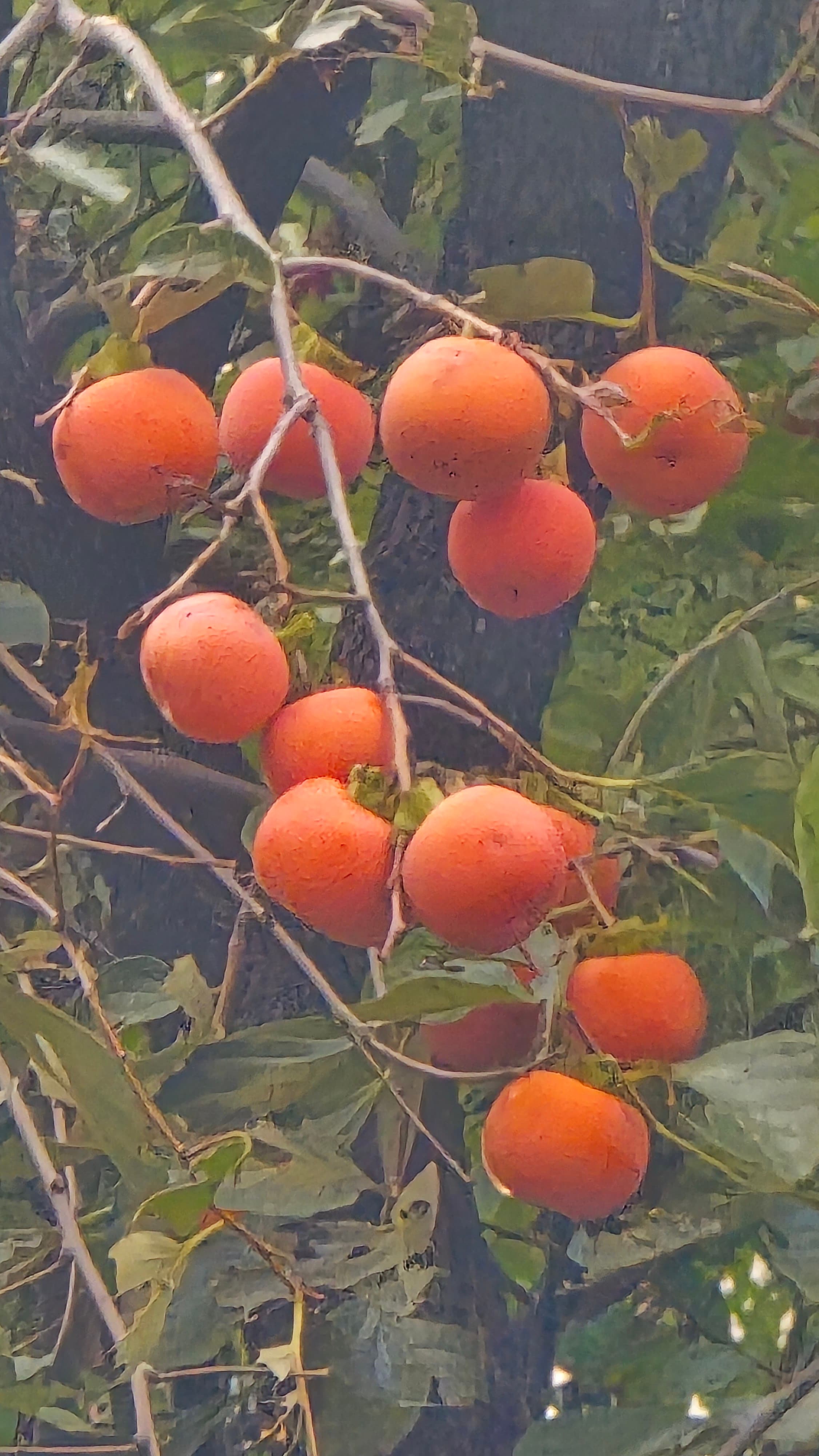강길원 시인 사진 174