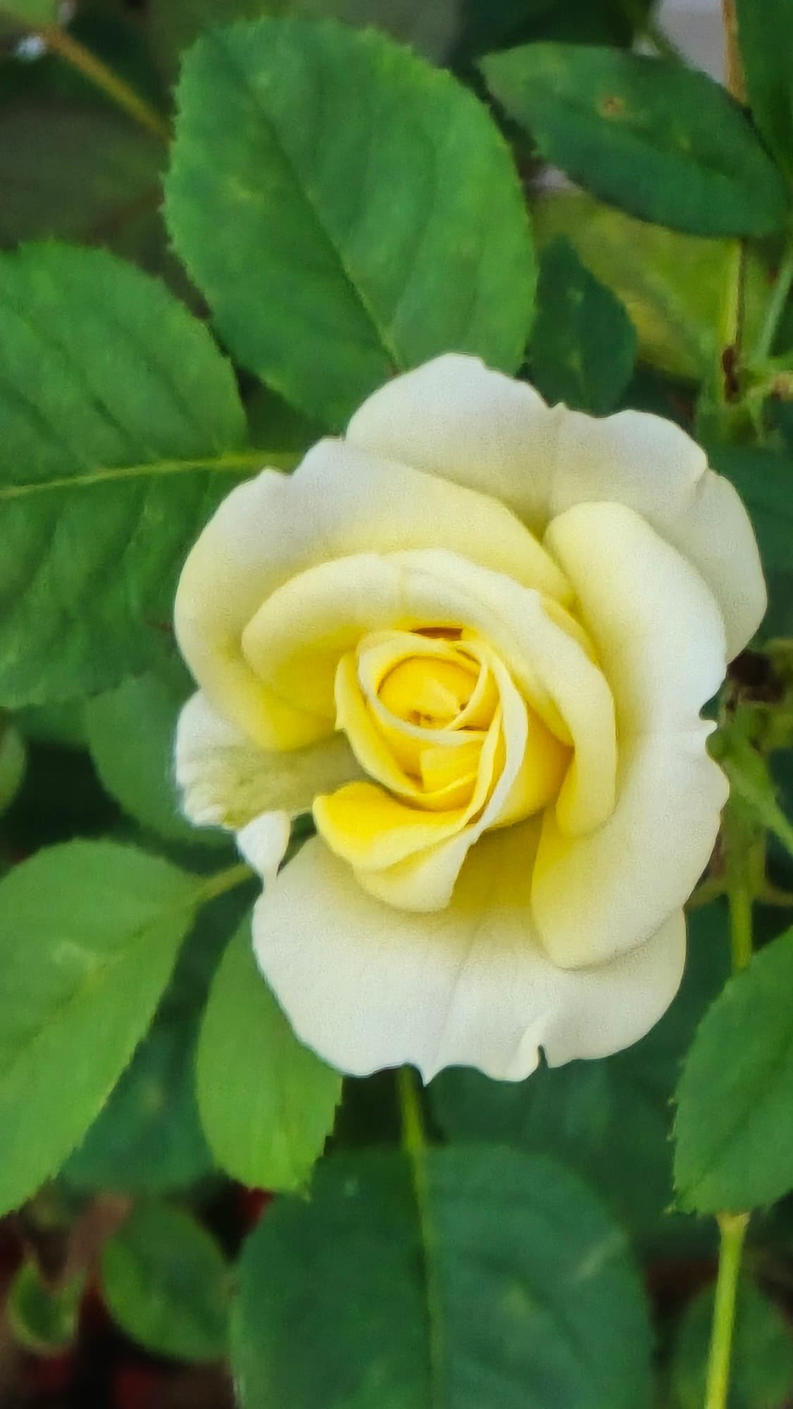 강길원 시인 사진 18