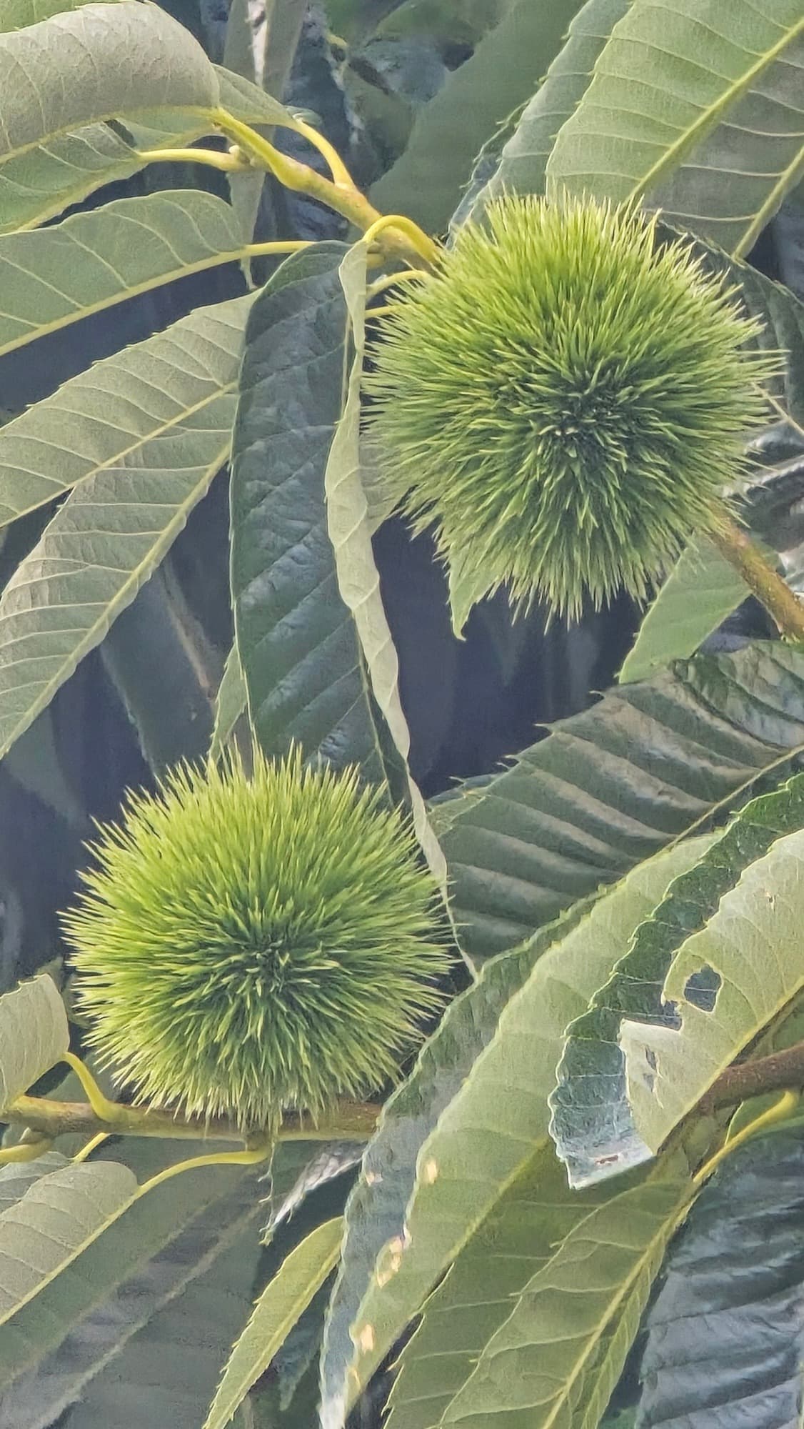 강길원 시인 사진 19