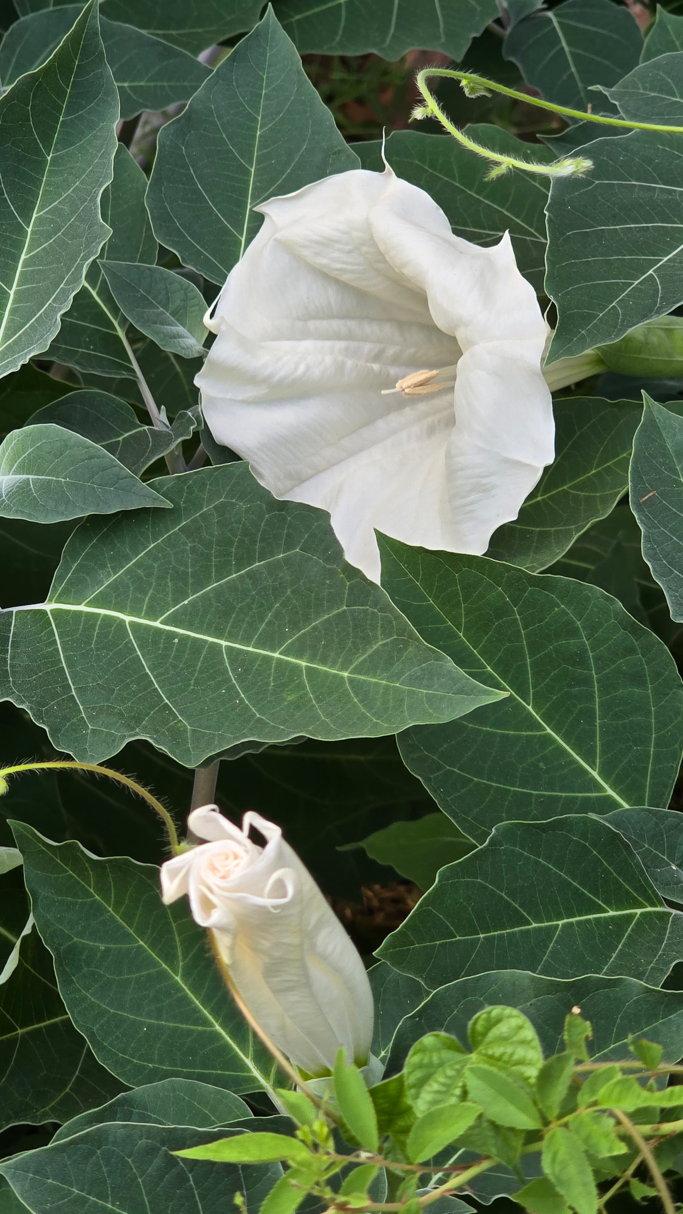 강길원 시인 사진 38