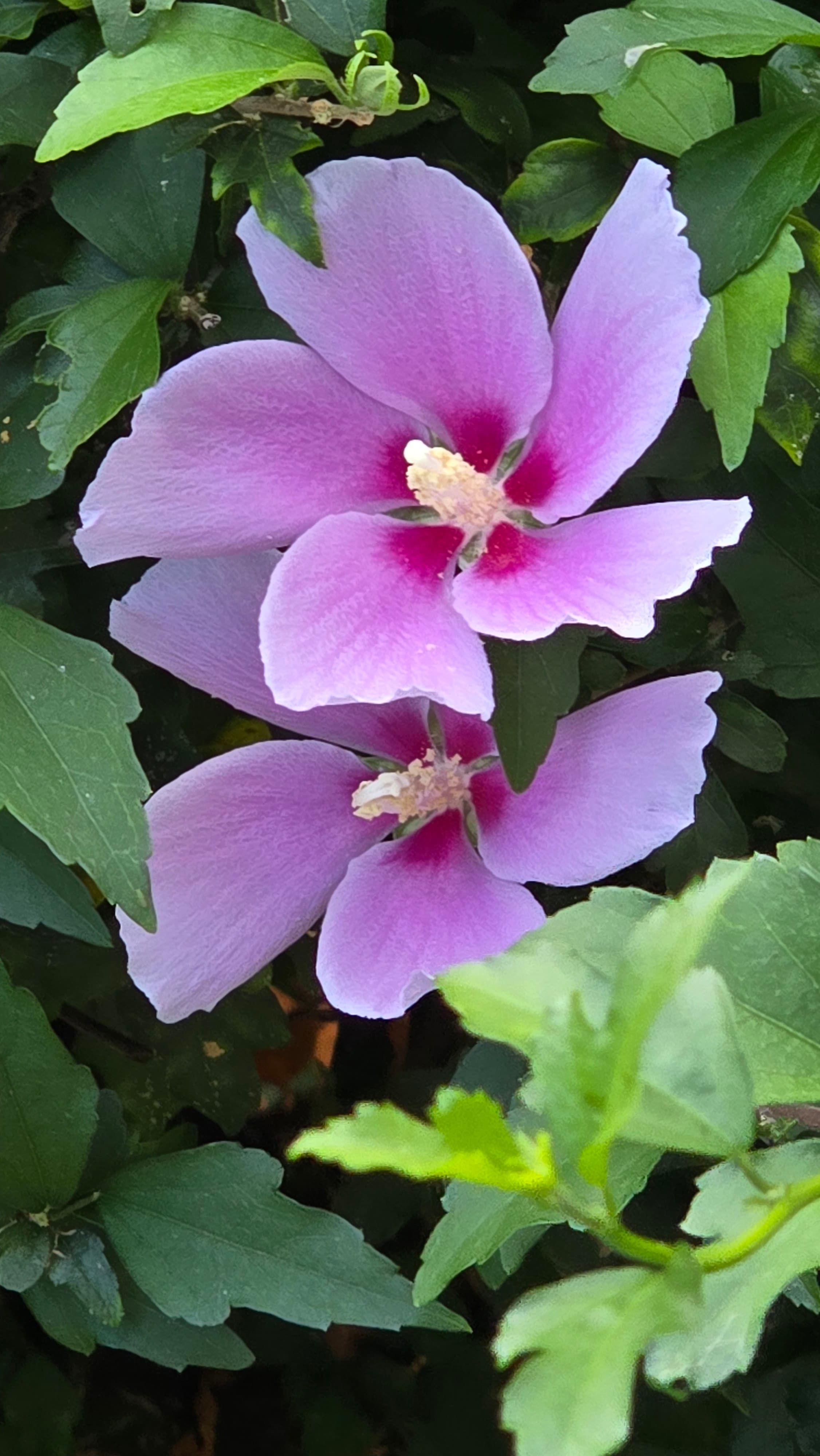 강길원 시인 사진 39
