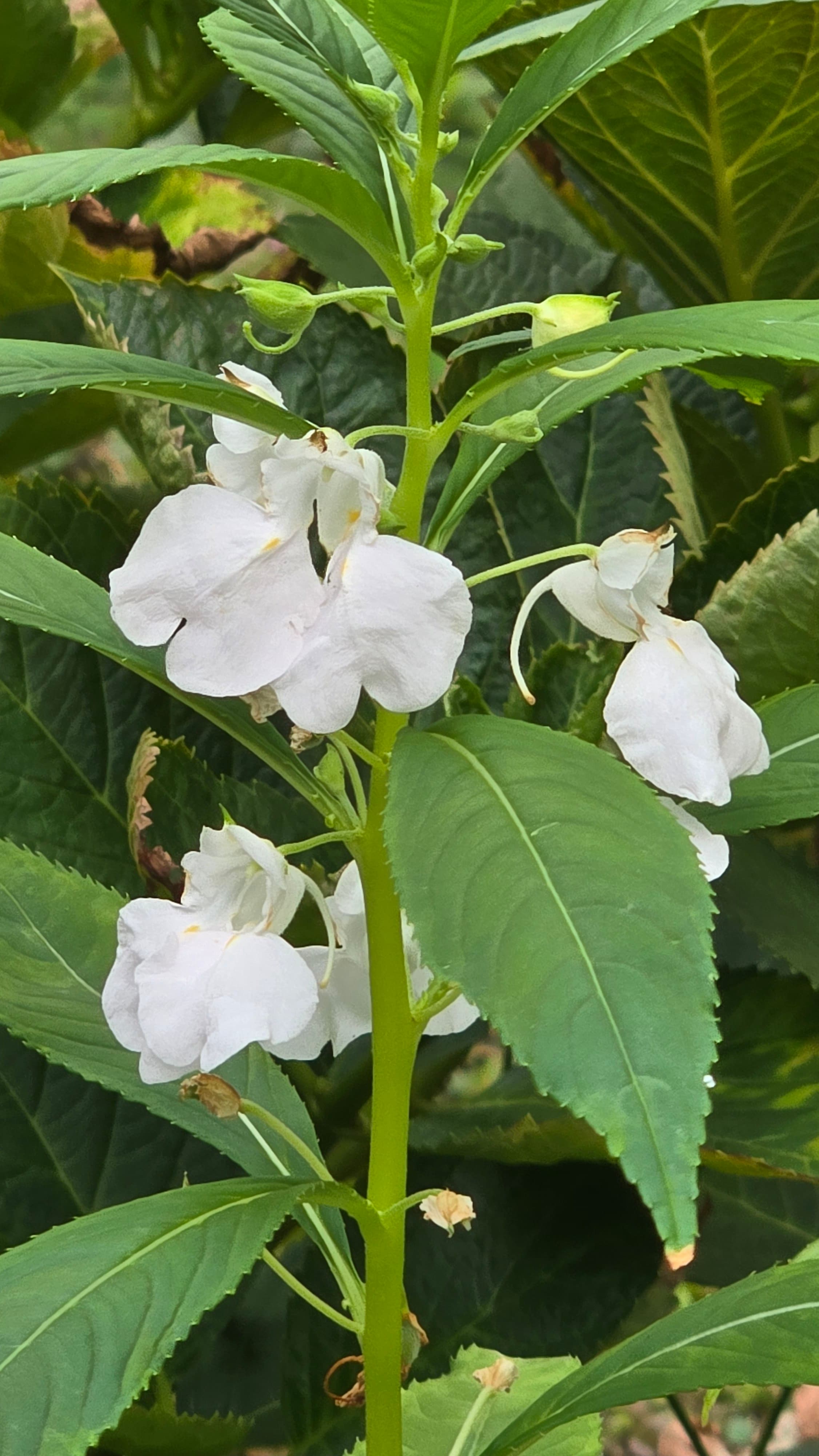 강길원 시인 사진 47