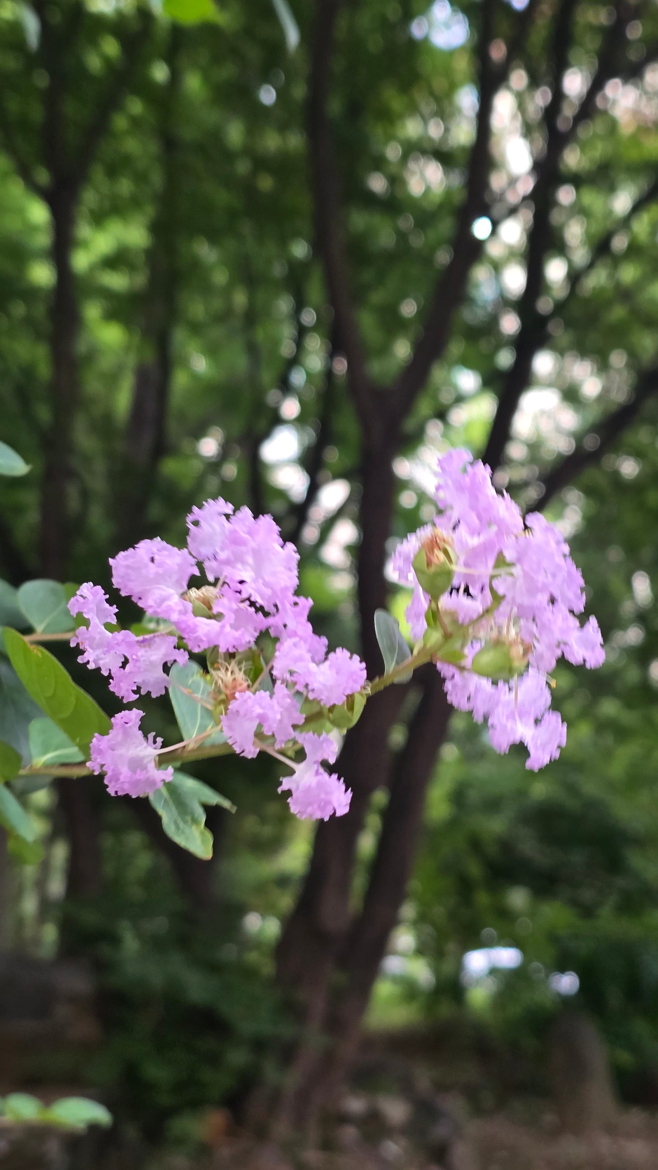 강길원 시인 사진 49