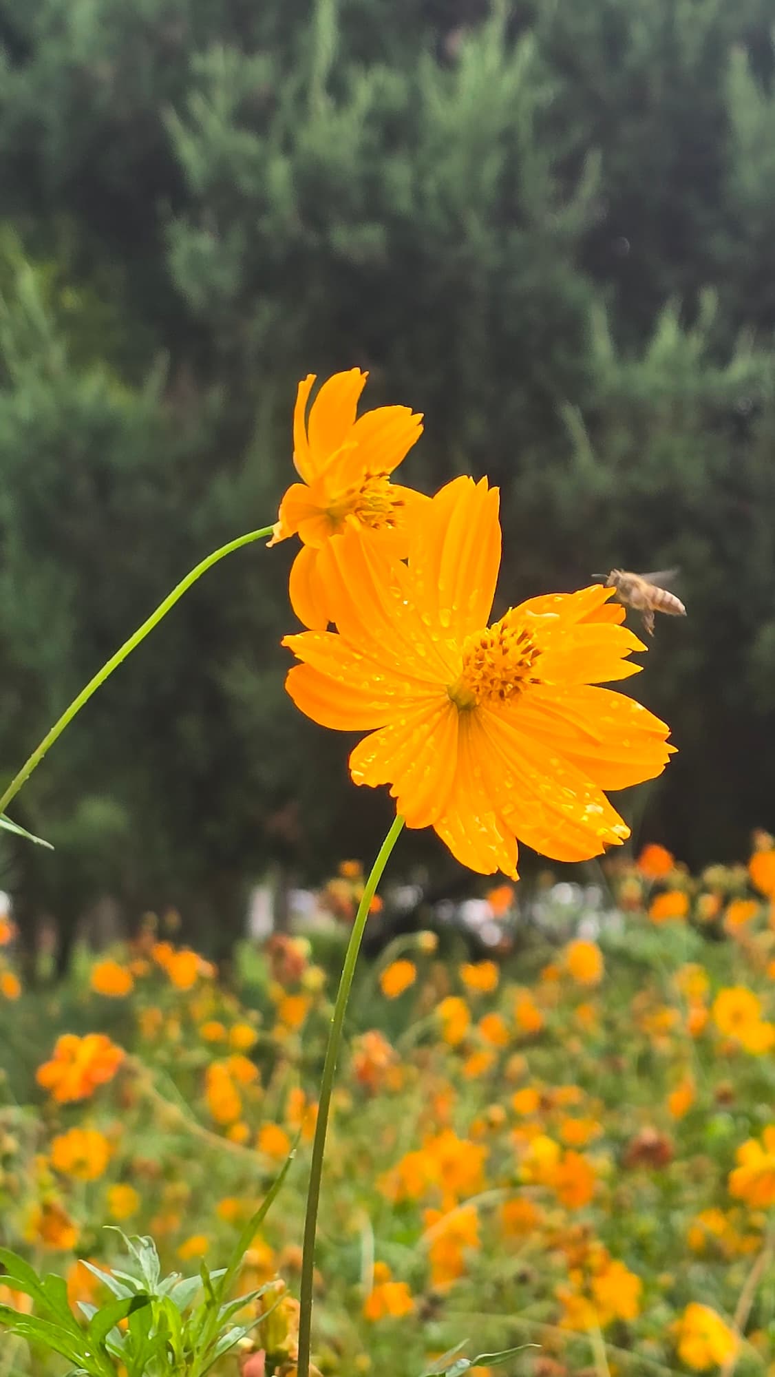강길원 시인 사진 59