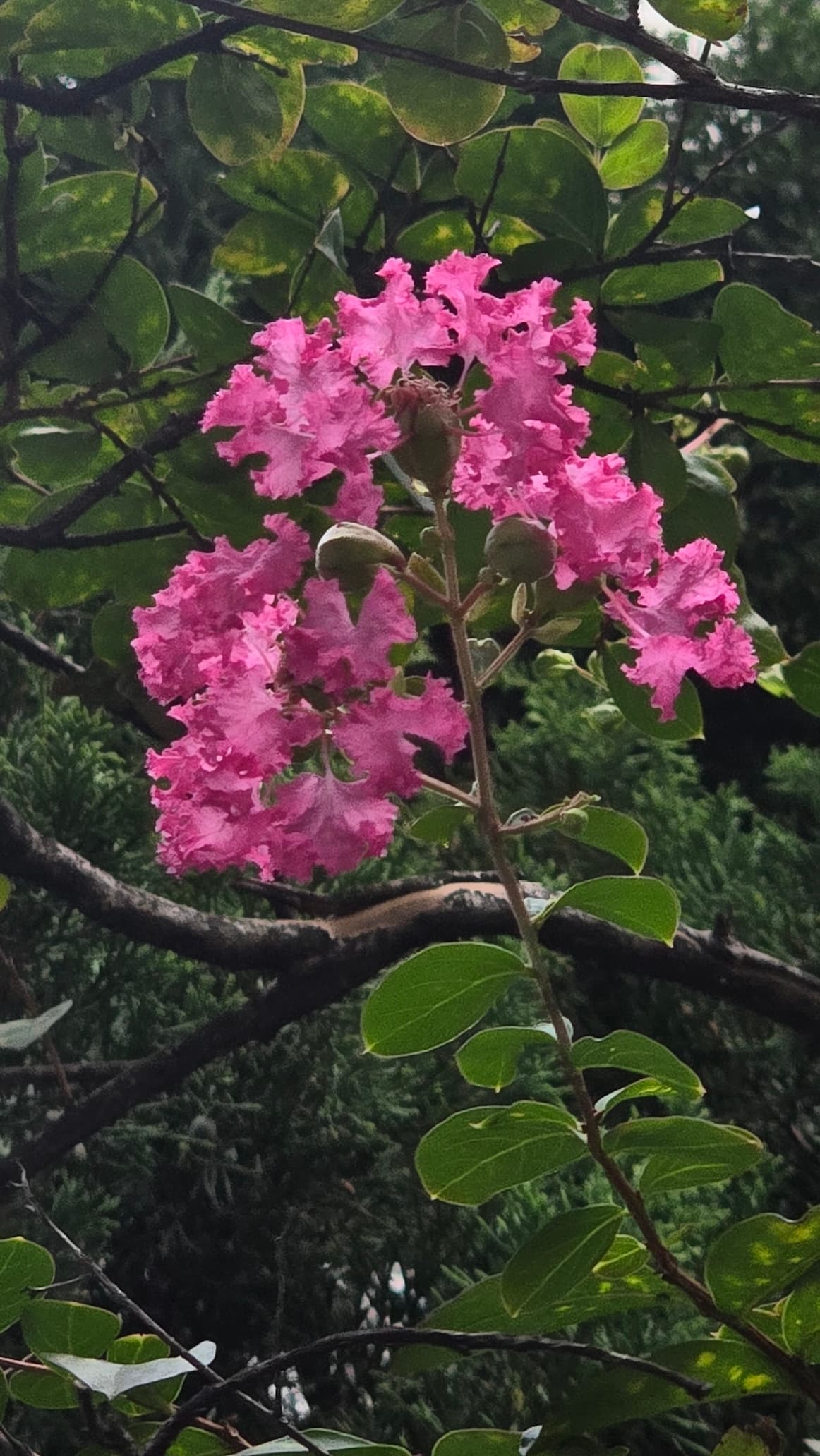 강길원 시인 사진 90